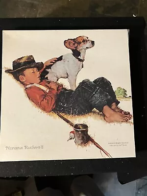 Norman Rockwell 550 Pc. Puzzle Adventurers Btwn. Adventures  A Boy And His Dog  • $22.99