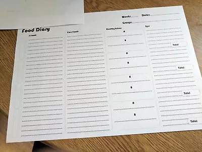 £2.45 • Buy My Version Of The Slimming World Food Diary In A5