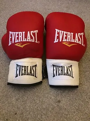 Everlast Boxing Gloves 8oz • £12