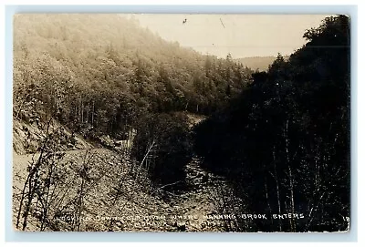 C1910 Looking Down Cold River Manning Enters Mohawk Trail MA RPPC Photo Postcard • $14.98