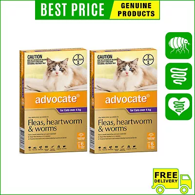 ADVOCATE PURPLE Pack For Cats Over 4 Kg 12 Pipettes HeartWorm Flea Treatment • $165.98