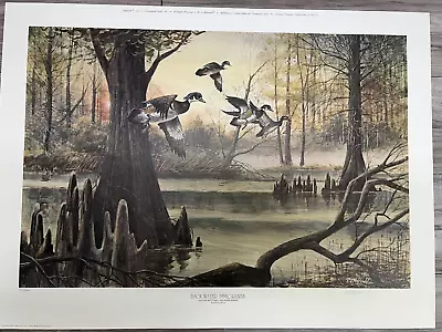 R. J. McDonald  Black Water Immigrants  Print Signed & Numbered 863/1000  Nature • $129.99