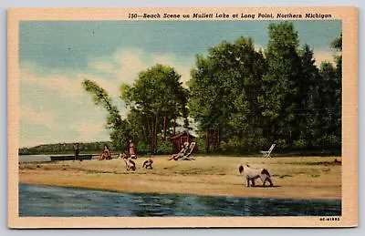 Northern Michigan~Beach Scene On Mullet Lake At Long Point~Vintage Postcard • $3.70