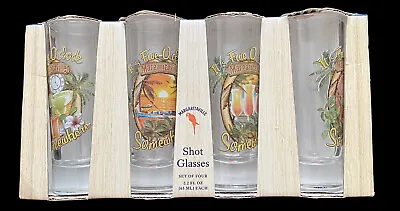 Margaritaville Shot Glasses 5 O’clock Somewhere Brand New Set Of 4 Shot Glasses • $19.85