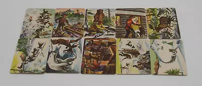 Vintage Sergeant Preston Of The Yukon Set Of 10 Collector Cards 1950s Used • $59.99