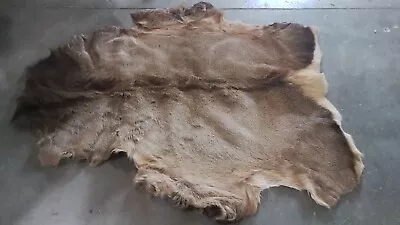 Beautiful Tanned Elk Hide With Hair On - Taxidermy Pelt Rug • $199