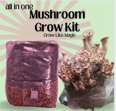 5lb CVG Mushroom Grow Bag (coco Verm Gyp) - Dung Loving Mushroom Substrate • $21.95