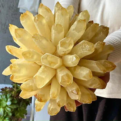 11.06LB Natural Yellow Crystal Cluster/Flower Shape Mineral Specimen Healing • $3.25