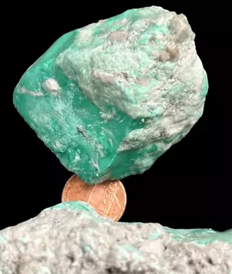 Variscite  Lucin Utah Rough Natural Edison Bird Mine  860 Grams • $59.78