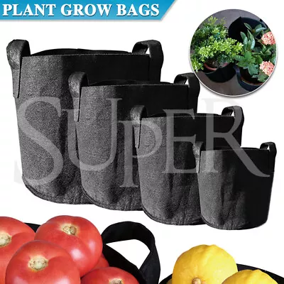 $19.59 • Buy Planter Bags Fabric Plant Pots Potato Grow Bag Handles 3 5 7 10 Gallon  Basket
