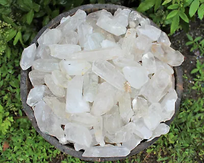 Bulk Wholesale 5 Lb Lot CLEARANCE Natural Quartz Crystal Points (GREAT VALUE) • $36.95