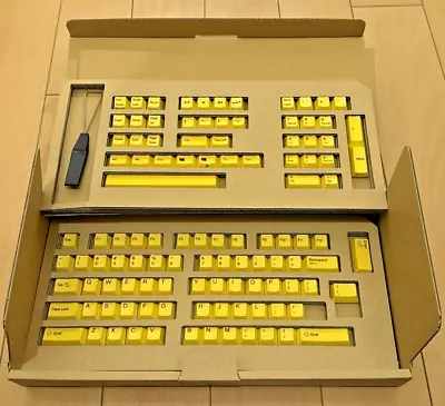 REALFORCE Topre R2 Color Key Cap Set English Layout 108 Key Yellow AGBZ06KT5 New • $111