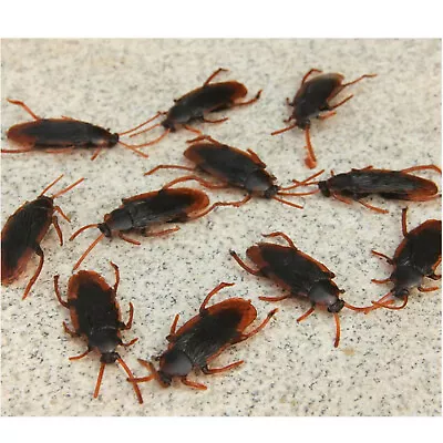 10Pack Prank Funny Magic Trick Joke Special Lifelike Fake Cockroach Roach Toy • £3.38