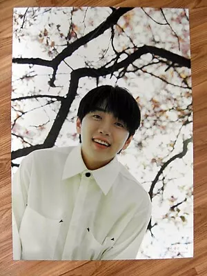 Sandeul (b1a4) A Fine Day 2nd Mini Album (type A) [original Poster] *new* K-pop • $4.99