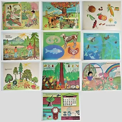 1970s Educational Posters - Science & Nature 17 X 22 1/2  EUC - You Choose • $9.95