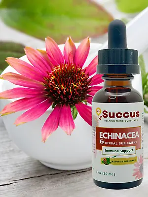 Echinacea Tincture - (Immune System) - Alcohol Free • $14.99