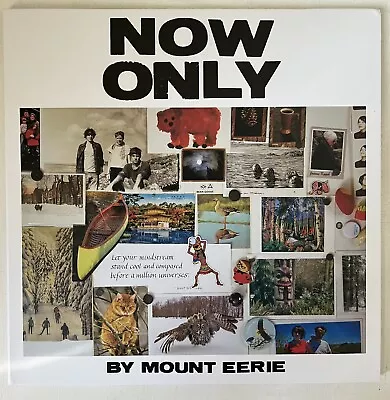 Mount Eerie Now Only Vinyl LP Record & MP3! A Crow Looked At Me Follow Up! NEW!! • $29.95