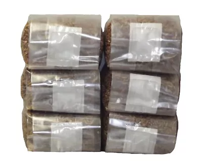 Sterilized Rye Berry Mushroom Substrate Bag (no Injection Port) (6 Pack) • $44