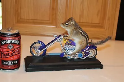 Harley Davidson Motorcycle Biker Taxidermy Squirrel Chipmunk Mount Novelty Gift • $190