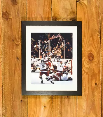 1980 US Men's Ice Hockey Olympic Team  -  Miracle On Ice  - Framed Wall Hanging • $125