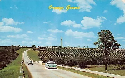 Clermont FL Florida Citrus Tower Orange Groves Orchard Farms Vtg Postcard C65 • $19.95