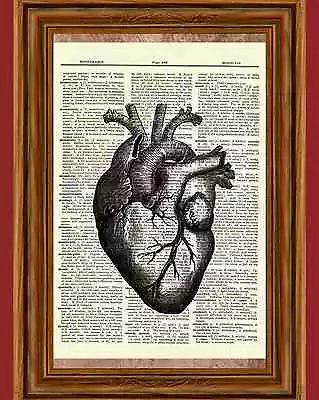 Human Heart Dictionary Art Print Vintage Picture Poster Anatomy Organ • $5.99