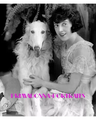 MABEL NORMAND 8x10 Lab Photo 1920s  MELBOURNE SPURR  Borzoi Dog Portrait • $14.99