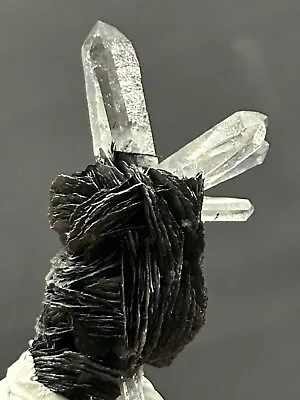 Quartz On SPECULAR HEMATITE  (Magnetite Ps. Hematite-MUSHKETOVITE) Iron Rose! • $350