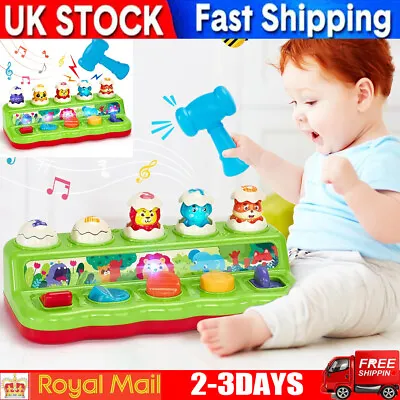 Interactive Pop Up Animals Eggs Toy With Light Music Animal Sounds Baby Learning • £18.92