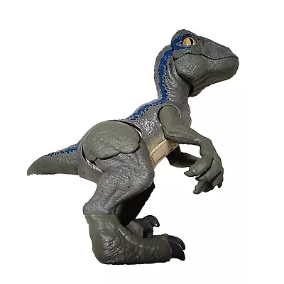 Jurassic World Primal Pal Blue Velociraptor Dinosaur Chomp Sound Figure Works • $9.99