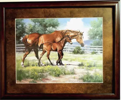 Horse Mare Colt Picture Ranch Western Cowboy Jack Sorenson Matted Framed 16x20 • $67.95