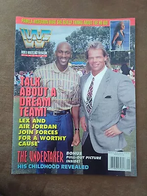 Vintage WWE WWF Magazine May 1995 Lex Luger Michael Jordan Cover • $20