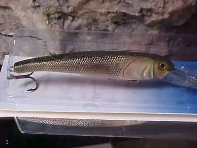 Mann's Textured Stretch 20+ BIGFISH Cast/Trolling Lure T20-16 In Color RUFF FISH • $15.60