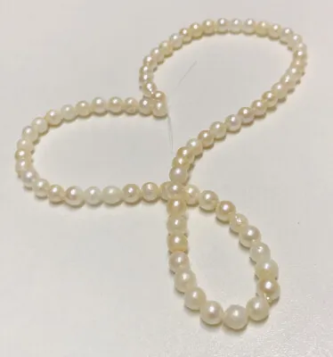 17” Ivory Cream Loose Freshwater Cultured Pearls Loose Pearls Beads DIY Jewelry • £18