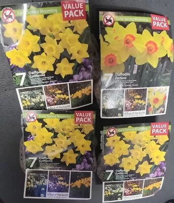 28x Daffodil Fortune & California Bulbs  Mixed Varieties  Pre Chilled  • $24.80