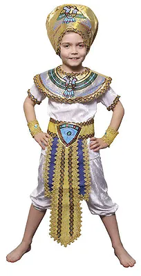 £16.07 • Buy Boys Egyptian Pharaoh King Fancy Dress Costume