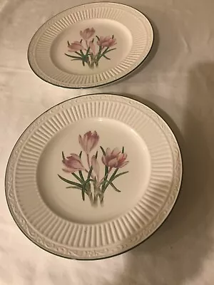 Mikasa Italian Countryside Floral Salad Plates DD919 CROCUS RARE • $42.99