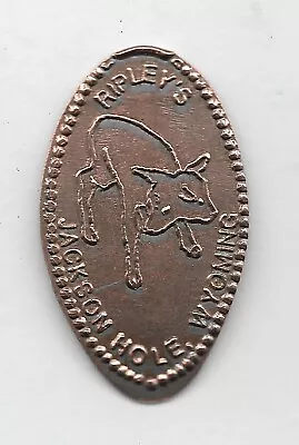 Elongated Pennies- Ripley's Two Headed Calf- Jackson Hole Wyoming- Retired • $2