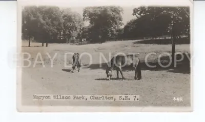 £4.99 • Buy Postcard. Maryon Wilson Park, Charlton S.E.7. Real Photo. Plumstead Photographer