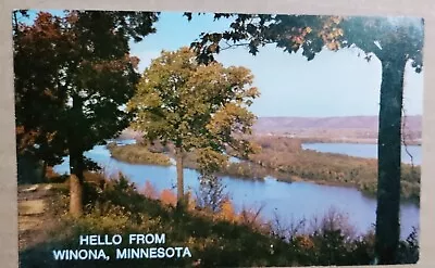 💥Hello From Winona Minnesota View Of Mississippi River Postcard Unposted • $2.99