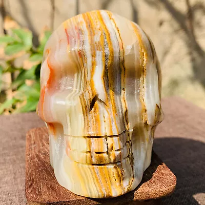 611g Natural Polished Afghan Jade Skull Carving Crystal Mineral Reike Healing • $3.25