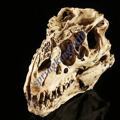 Tyrannosaurus T-Rex Skull Resin Fossil Model Dinosaur Collectibles Replica New • $18.99