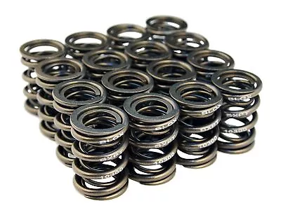 Blox Racing Dual Valve Spring Kit Integra DC2 Civic Si B Series B16A B18C B18C5 • $159.50