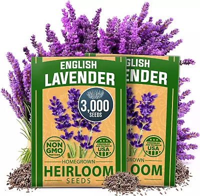 Premium English Lavender Seeds | 3000 Non-Gmo Herb Seeds | Usa-Sourced Wildflowe • $14.43