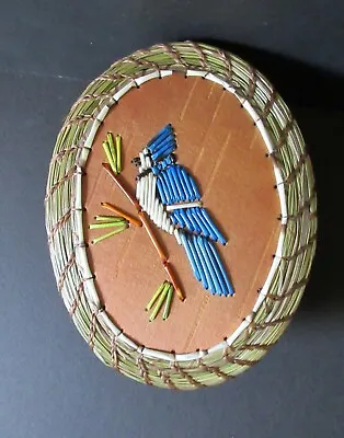 BLUE JAY #11: Oval Coil Sweetgrass Basket/porcupine Quill: Paul St John-Mohawk • $126.75