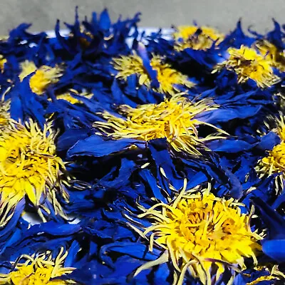 $1.60 • Buy Ceylon BLUE LOTUS |Nymphaea Caerulea| Dried Flower 100% Pure Organic Natural Tea