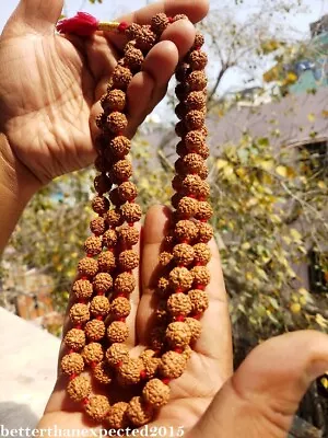 100% Natural Bodhi RudrakshTibetan Prayer 108+1 Mala Beads Rudraksha 10 MM Seed • $12.90