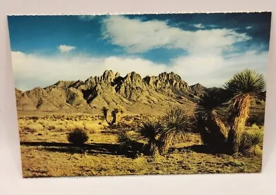 Postcard Organ Mountains Las Cruces New Mexico  • $2.95