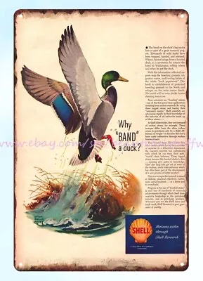 1948 Shell Oil Banded Mallard Duck Bird Sportsman Hunter Metal Tin Sign • $18.78