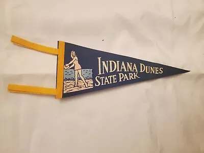 Vintage Souvenir Felt Pennant Indiana Dunes State Park Blue 11'' • $29.99